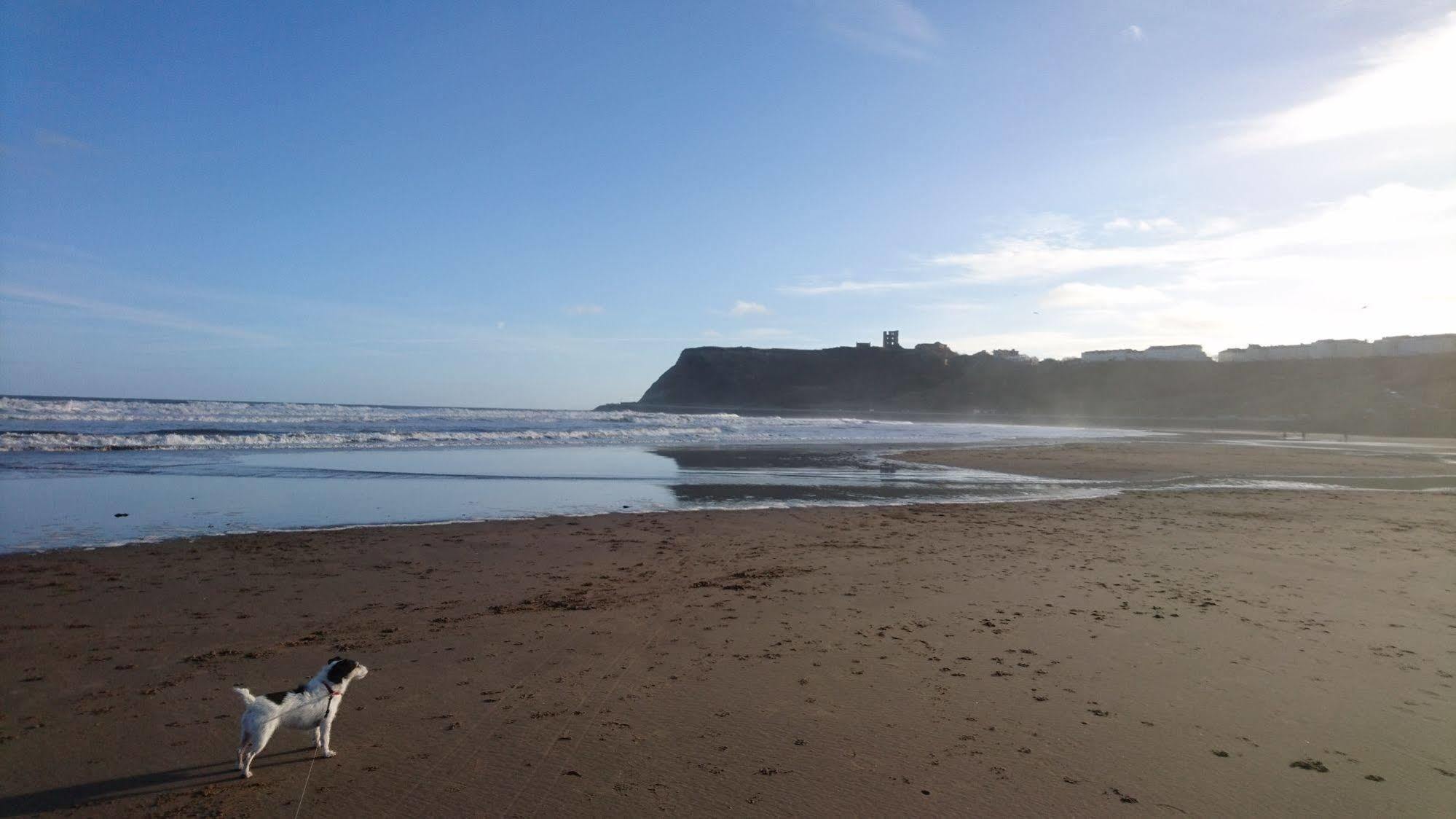 The Beaches Scarborough Buitenkant foto